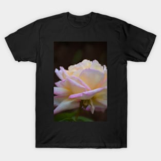 Rose 323 T-Shirt